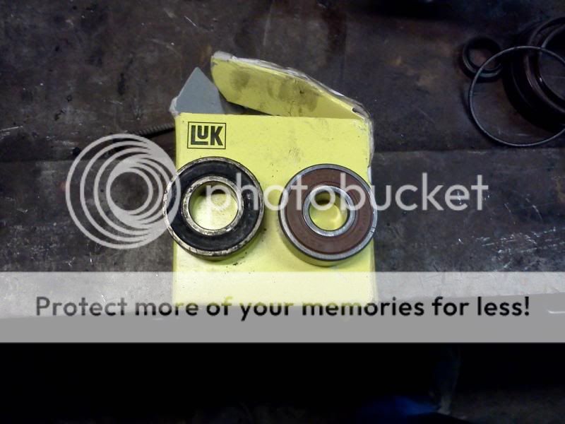 IMG190_zps15a3908e.jpg