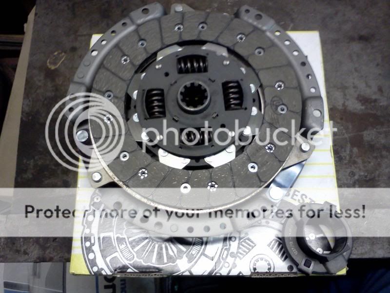IMG195_zpse8e3bf82.jpg