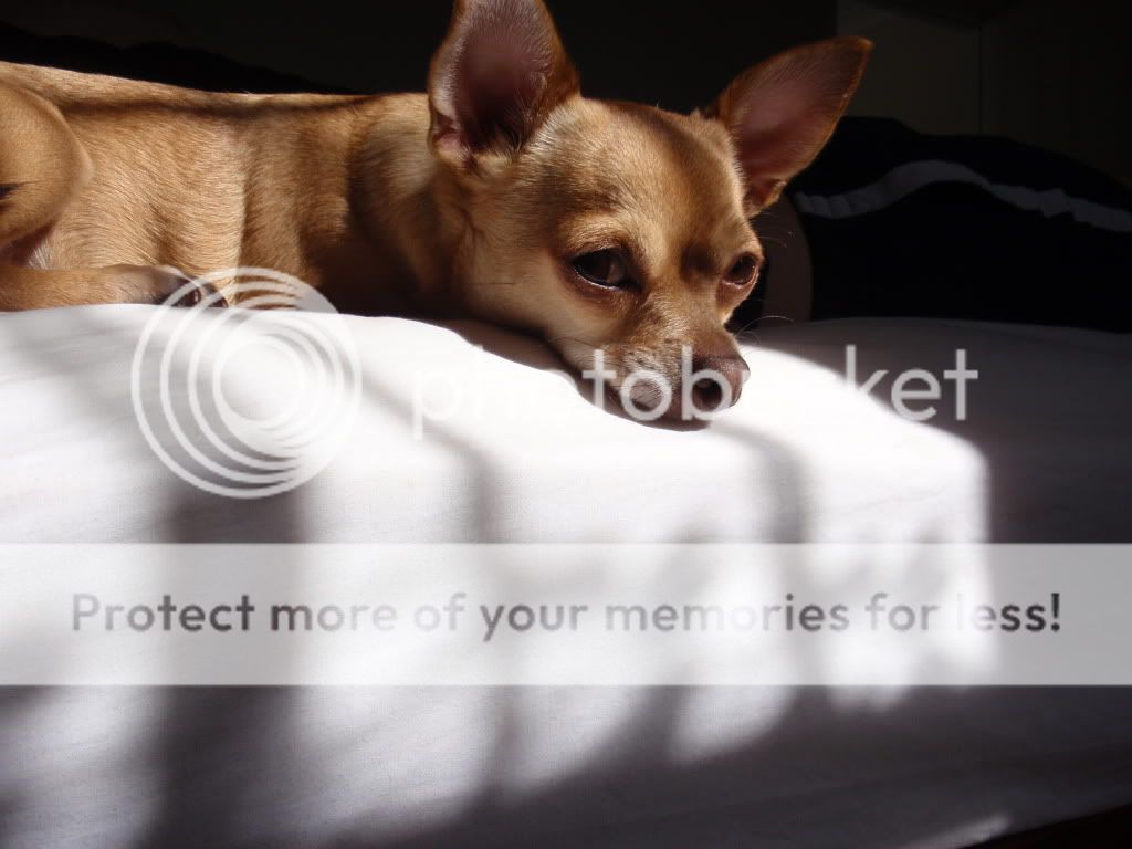 IMAGE: http://i373.photobucket.com/albums/oo174/behemothslave/Chrismakym003.jpg