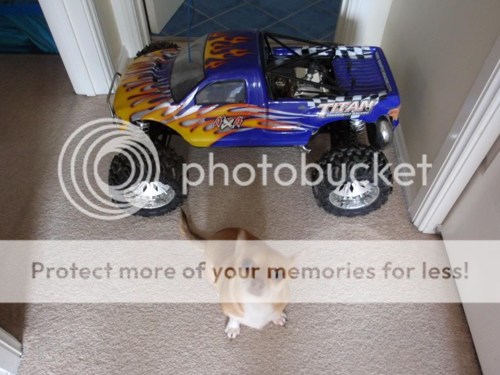 IMAGE: http://i373.photobucket.com/albums/oo174/behemothslave/mlst2andswarmpics041.jpg