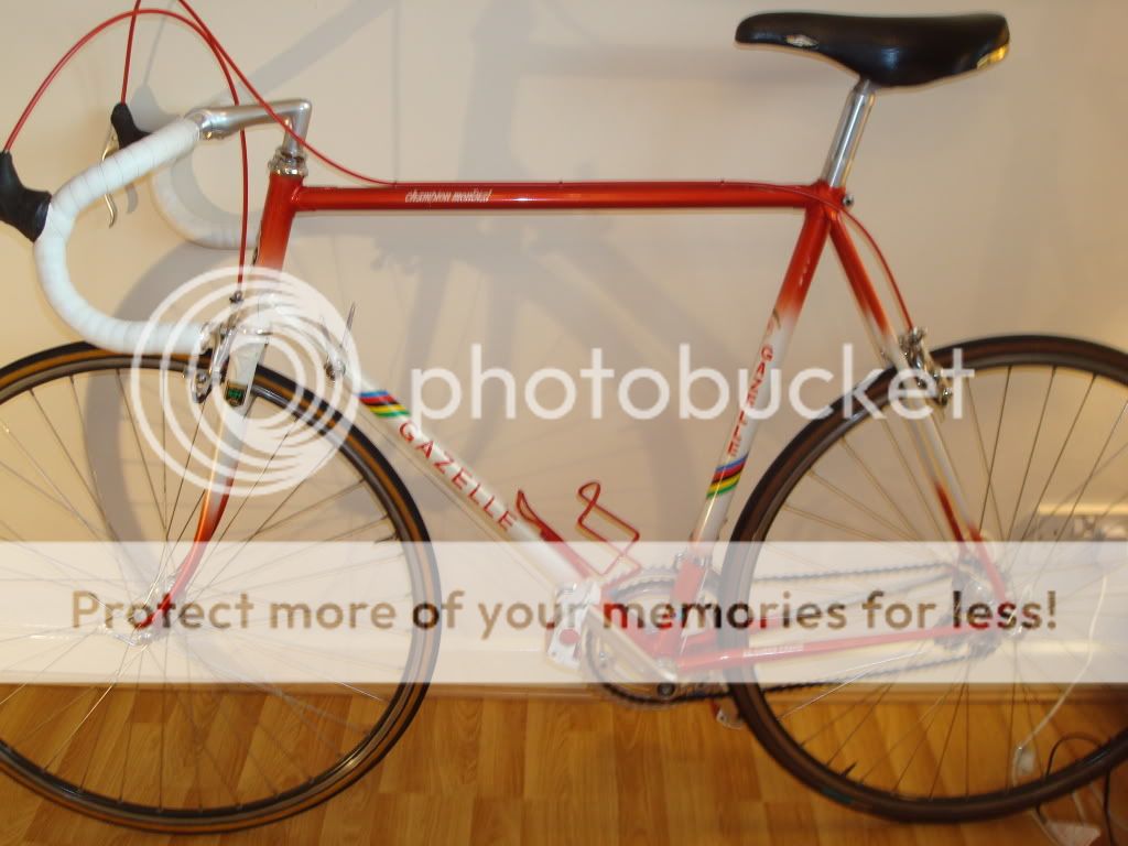 For Sale Gazelle Champion Mondial AA Super full