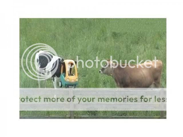 Posted Image