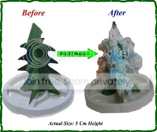 MagicChristmasTree1.jpg picture by MagicChristmasTree