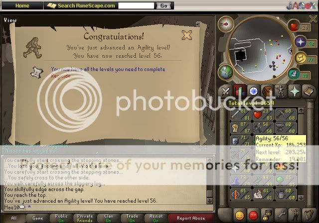 agility56.jpg?t=1226742198