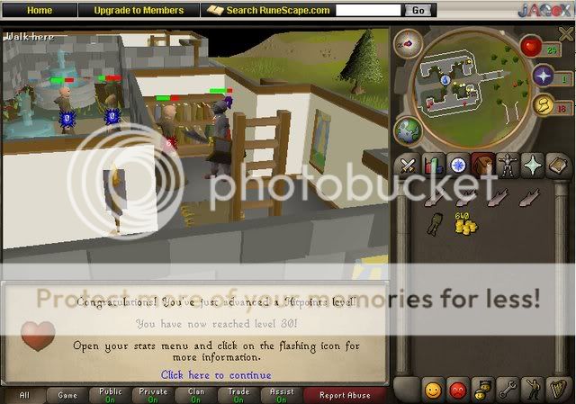 hp30.jpg?t=1232141364