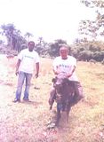 Image Image
