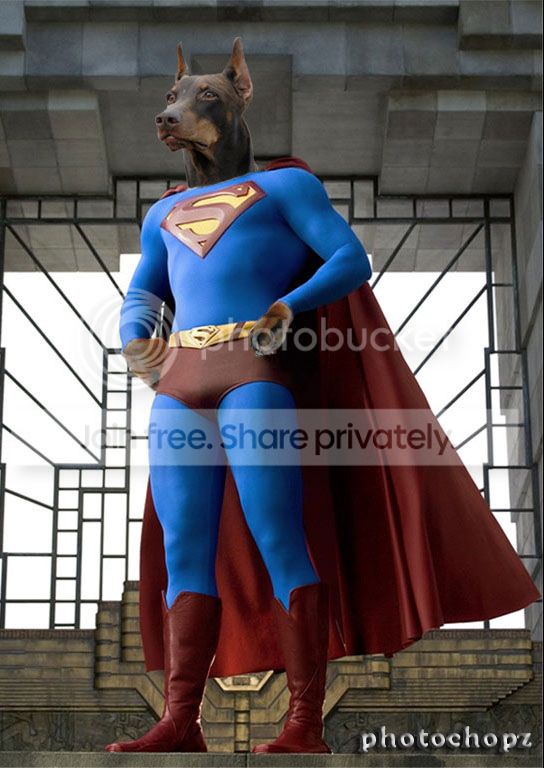 superdog.jpg