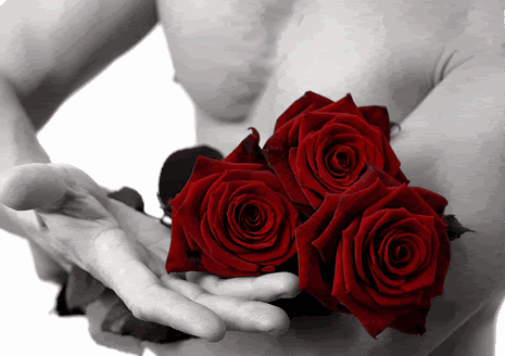 roses.gif