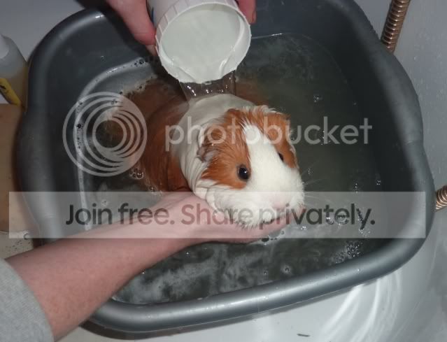 bath10charlie.jpg