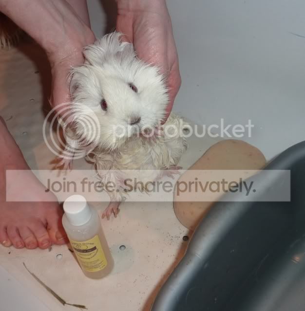 bath10lolaheld.jpg