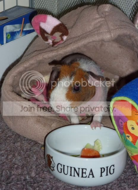 dollyfirstbreakfast.jpg