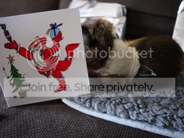 kittyreadingcard.jpg