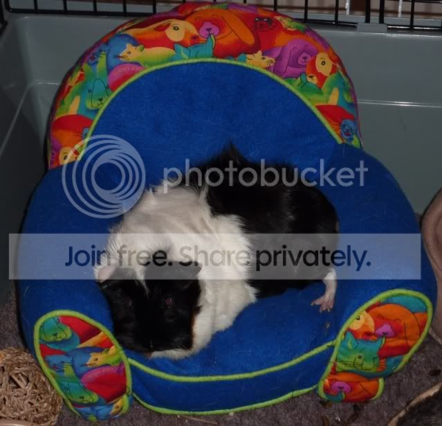 gypsychair.jpg
