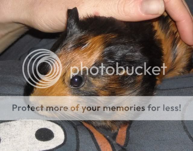lottafirstphoto.jpg